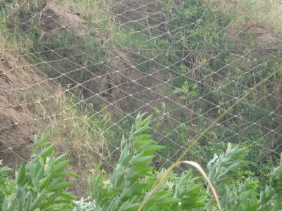 乌拉特中柔性边坡防护网